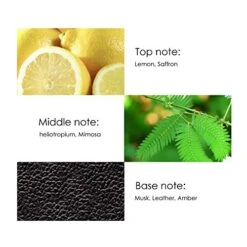 French Men Fragrance Long-Lasting Cologne Perfume Birthday Gift 80ML(Black) 13 French Men Fragrance Long-Lasting Cologne Perfume Birthday Gift 80ML(Black) -Samsonite Shop 41F4lbKiPZL