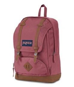 JanSport Cortlandt, Slate Rose, One Size 9 JanSport Cortlandt, Slate Rose, One Size -Samsonite Shop 41tdDjxmO7L