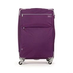 Cloe Checked Large 28 Inch Water-Resistant Luggage With 360º-spinner Wheels In Purple Color