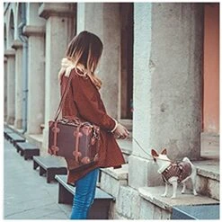 CO-Z Premium Vintage Luggage Set 24 Inches TSA Locks Wheel Suitcase With 12 Inches Hand Bag (Beige) -Samsonite Shop 51tHrTVVg1S