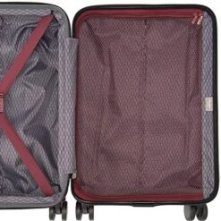 Delsey Paris Alexis Lightweight Luggage, Large Expandable Spinner Double Wheel Hardshell Suitcases With TSA Lock -Samsonite Shop 61PIrYptqxL