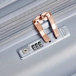 DELSEY Paris Cruise 3.0 Hardside Expandable Luggage With Spinner Wheels, Platinum, Carry On 21 Inch -Samsonite Shop 61aHXlu8ExL
