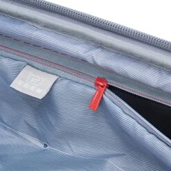 DELSEY Paris Cruise 3.0 Hardside Expandable Luggage With Spinner Wheels, Platinum, Carry On 21 Inch -Samsonite Shop 61egsi56raL