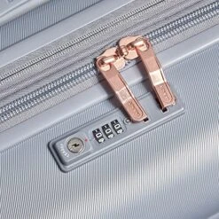 DELSEY Paris Cruise 3.0 Hardside Expandable Luggage With Spinner Wheels, Platinum, Checked-Large 28 Inch 16 DELSEY Paris Cruise 3.0 Hardside Expandable Luggage With Spinner Wheels, Platinum, Checked-Large 28 Inch -Samsonite Shop 61leW0HhGVL
